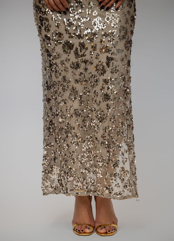 Long Sequin Dress